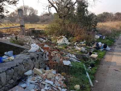 Lama Balice, il parco naturale diventato una discarica a cielo aperto